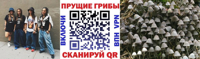 Псилоцибиновые грибы GOLDEN TEACHER  mega ссылка  Сорск 